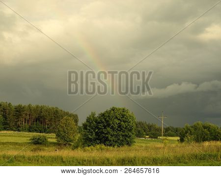 Storm In The Park With Strong Light