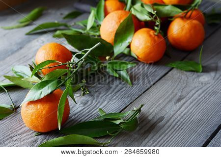 Tangerines (oranges, Mandarins, Clementines, Citrus Fruits) With Leaves In Basket On Gray Background