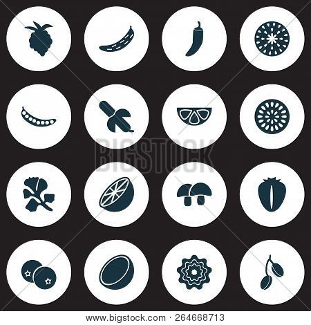 Food Icons Set With Cocoanut, Cucumber, Tropical Fruit And Other Grapefruit Elements. Isolated  Illu