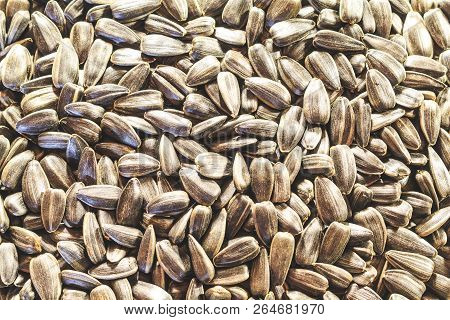 Black Sunflower Seeds Closeup Without Additional Food