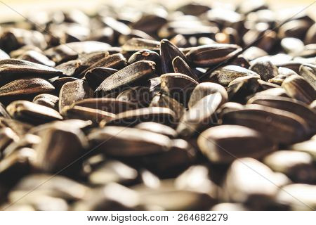 Black Sunflower Seeds Closeup Without Additional Food