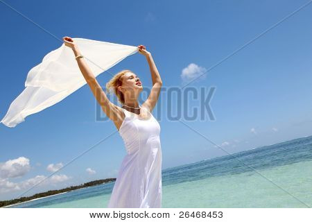 新娘与白色海滩上的偷了