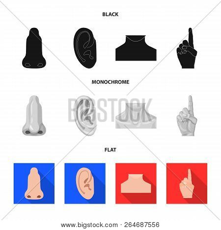 Vector Illustration Of Human And Part Icon. Collection Of Human And Woman Vector Icon For Stock.