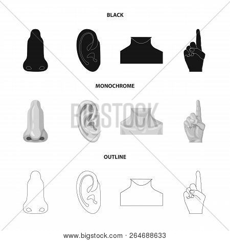 Vector Design Of Human And Part Icon. Collection Of Human And Woman Vector Icon For Stock.