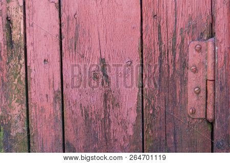 Red Old Weathered Worn Rustic Wooden Boards With Green Moss And Rusty Metal Door Hinge. Background