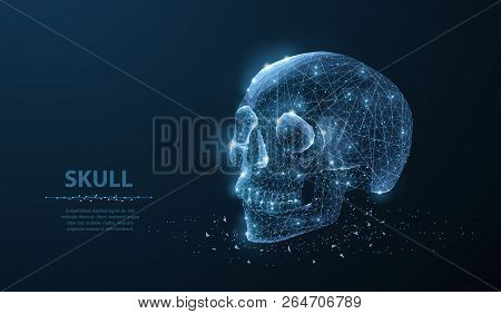 Skull. Abstract Vector Polygonal Skeleton Skull Illustration On Dark Blue Background With Stars.