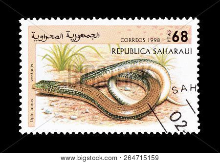 Sahara - Circa 1998 : Cancelled Postage Stamp Printed By Sahara, That Shows The Eastern Glass Lizard