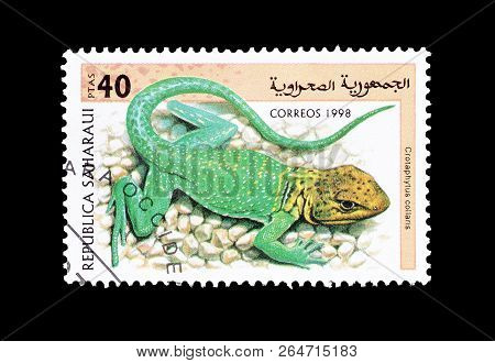 Sahara - Circa 1998 : Cancelled Postage Stamp Printed By Sahara, That Shows Eastern Collared Lizard.