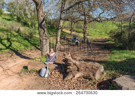 Durbanville, South Africa, August 11, 2018: People Are Visible On A Walking Trail In Majik Forest In