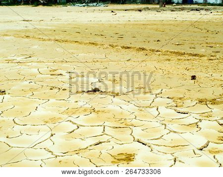 Foot Paints On Dry Dirt At Swamp In Summer