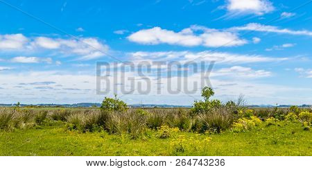 Indigenous Park, Maldonado Department, Uruguay