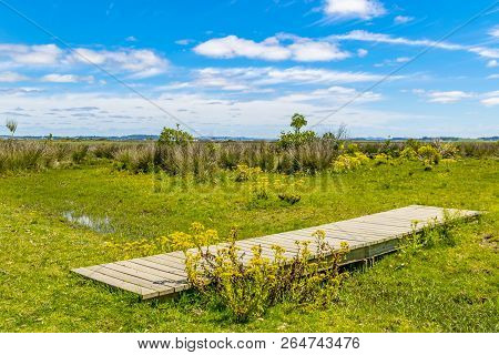 Indigenous Park, Maldonado Department, Uruguay