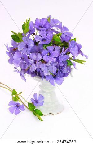 Petit violet de fleurs sur fond blanc