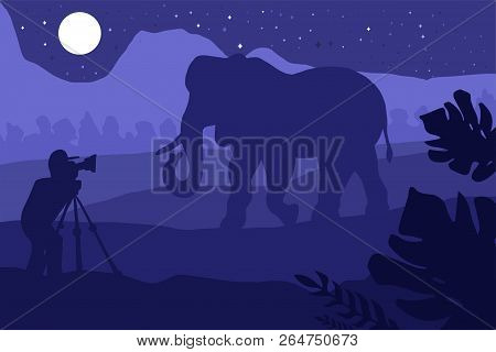 Photographer Photographs Elephant In Nature. Illustration With Standing Photo And Video Hunter With 