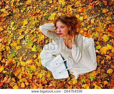 Autumn fashion women high-grade long sleeve feminity lace dress with long sleeve below knee in princess style. Top view of woman dramatic look sitting on fall leaves in city park outdoor.