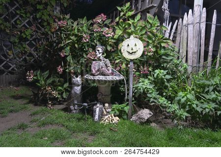 Halloween Scene In The Dark, A Scelet, Coffin And Pumpkin Head On A Stick. Skeleton And Bones And A 