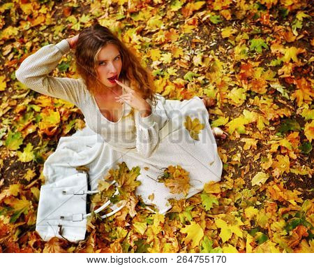 Autumn Fashion Trends on feminity lace dress with long sleeve below knee in princess style. Top view of woman dramatic look sitting on fall leaves in city park outdoor.