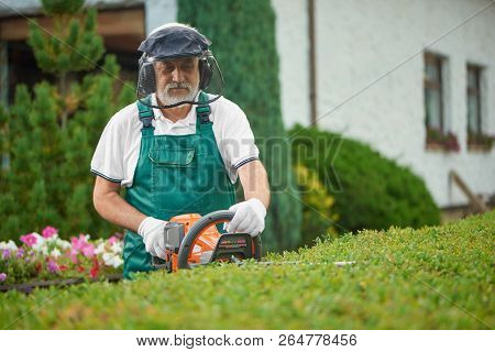 Senior Male Gardener Cutting Garden Hedge With Petrol Hedge Cutter. Professional Garden Worker Weari