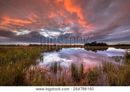 Beautiful Sunset Over Marshland In Natural Landscape In Westerwolde Nature Reserve In The Netherland