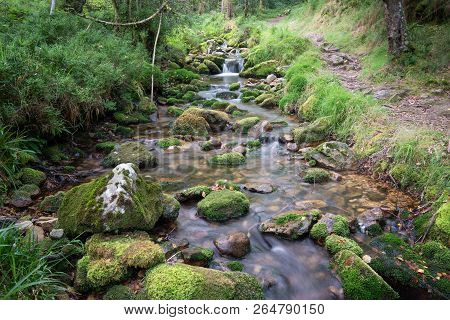 Camino De Santiago Trail Between Pola De Allande And Grandas De Salime, Asturias, Spain