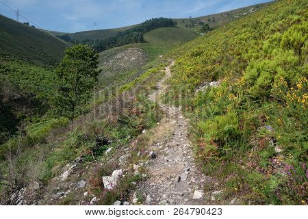 Camino De Santiago Trail Between Pola De Allande And Grandas De Salime, Asturias, Spain
