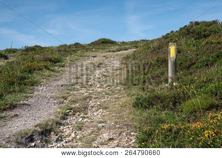Camino De Santiago Trail Between Pola De Allande And Grandas De Salime, Asturias, Spain