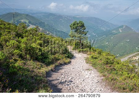 Camino De Santiago Trail Between Pola De Allande And Grandas De Salime, Asturias, Spain