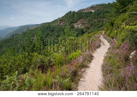 Camino De Santiago Trail Between Pola De Allande And Grandas De Salime, Asturias, Spain