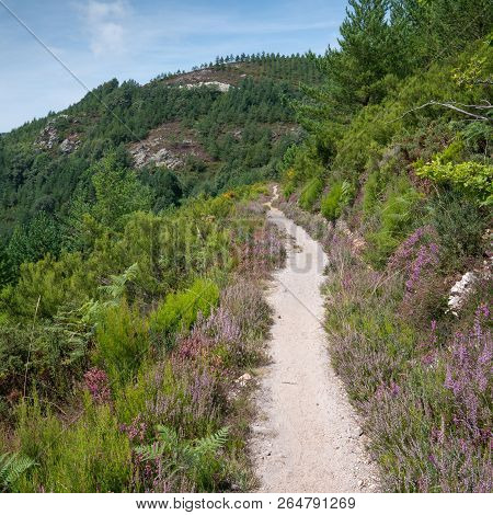 Camino De Santiago Trail Between Pola De Allande And Grandas De Salime, Asturias, Spain