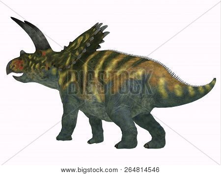 Coahuilaceratops Dinosaur Tail 3d Illustration - Coahuilaceratops Was A Herbivorous Ceratopsian Dino
