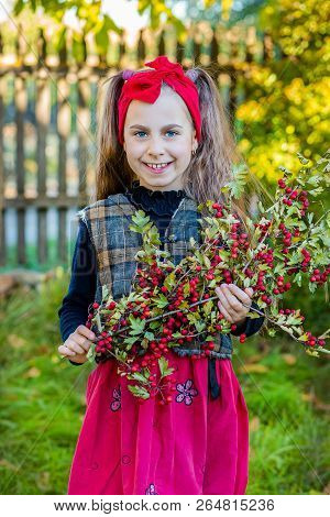 A Branch Of Hawthorn In The Hands Of A Cute Girl In The Garden.