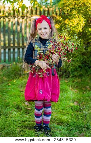 A Branch Of Hawthorn In The Hands Of A Cute Girl In The Garden.