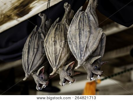 Halloween Bats, Terrifying Decoration, Daeth And Fear