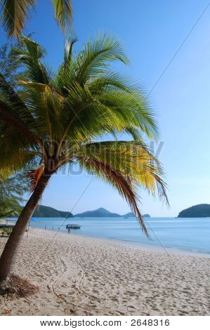 Beauitiful Tropical Beach i Langkawi