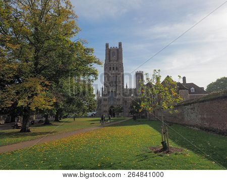 Ely Cathedral In Ely