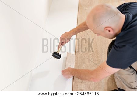 Male Worker Installing New Wooden Laminate Flooring On A Warm Film Foil Floor. Infrared Floor Heatin