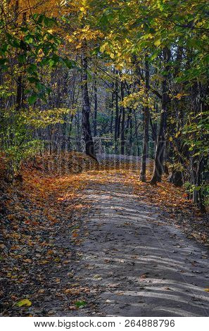 Tuputiskia Landscape Reserve. Golden Autumn Time. Evening
