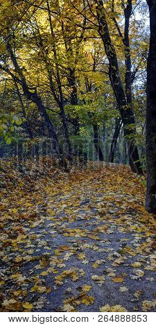 Tuputiskia Landscape Reserve. Golden Autumn Time, Evening