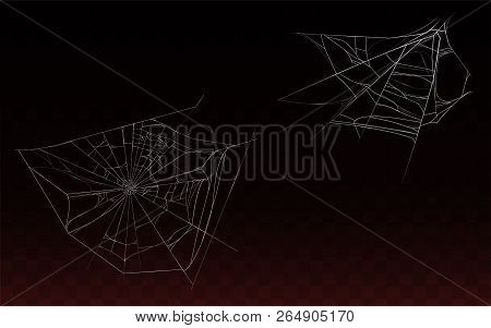Vector Collection Of Realistic Cobweb, Spider Web Isolated On Dark Background. White Sticky, Scary E