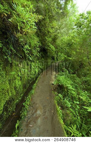 Road To Caldeirao Verde, Santana, Madeira, Portugal