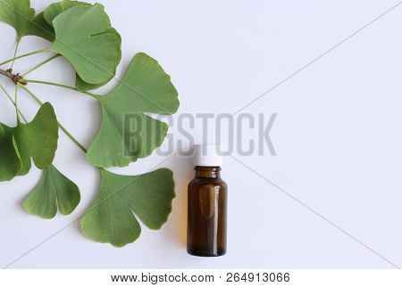 Tincture Gingo Biloba On White Wooden Table.medicinal Herb Ginkgo Biloba. Healthy Concept.top View.