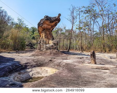 The Ancient Partridge Shaped Rock Found Among Other Rocks Used To Be A Community Of Human In Dvarava