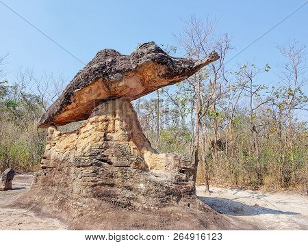 The Ancient Partridge Shaped Rock Found Among Other Rocks Used To Be A Community Of Human In Dvarava
