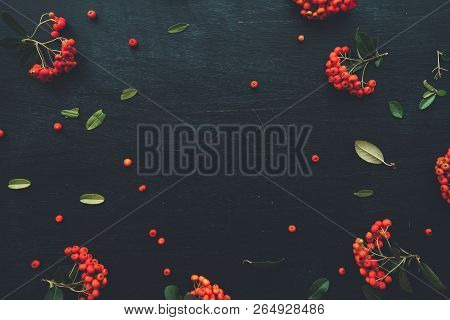 Flat Lay Red Wild Berry Cruit Arrangement, Top View Natural Pattern As Decoration On Black Wooden Ba