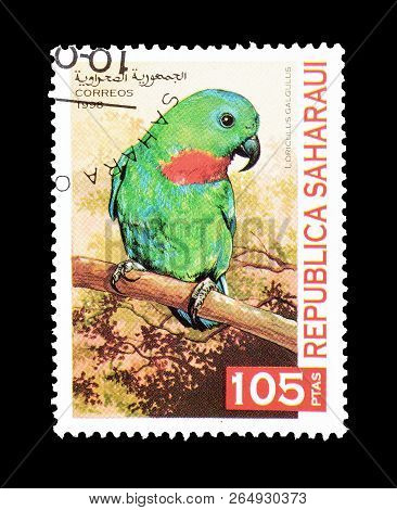 Republic Saharaui - Circa 1998 : Cancelled Postage Stamp Printed By Republic Saharaui, That Shows Th