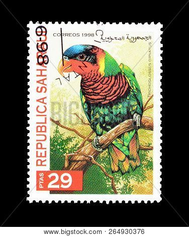 Republic Saharaui - Circa 1998 : Cancelled Postage Stamp Printed By Republic Saharaui, That Shows Th