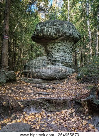 One of many unique sandstone rock formations that can be found on the Mushroom Rocks tourist trail in the Table Mountain National Park, Poland