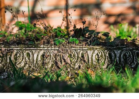 Textural Curbstone In The Garden Where Strawberries Grow. Green Leaves