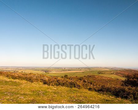 Hardy Monument Tall Building Old Special England Dorset Black Down Countryside Nature Landscape