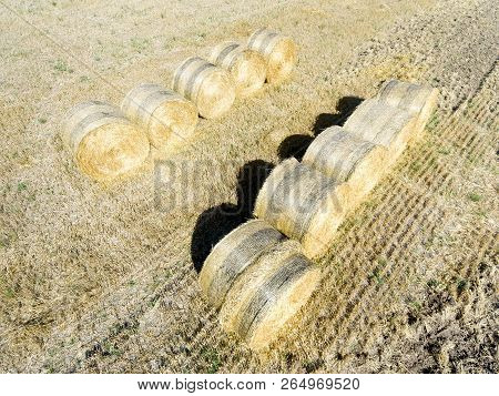 Bundles In Vaugrigneuse, Essonne, Ile De France, France